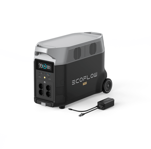 Alimentation portable pour camping-cars et véhicules électriques avec DELTA Pro Kit voyageur : DELTA Pro + Adaptateur de mise à la terre
